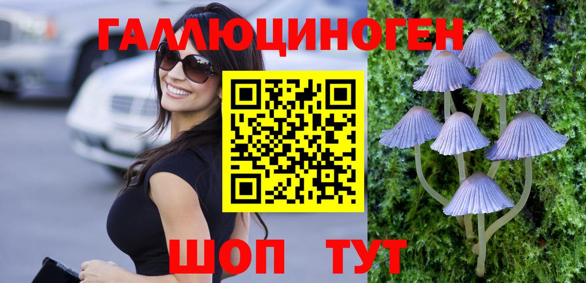 Псилоцибиновые грибы Psilocybe  Вход с VPN  сколько стоит  Алейск  Галлюциногенные грибы Cubensis 