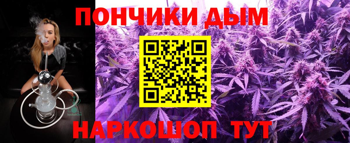 Шишки марихуана ГИДРОПОН  Вход с VPN  Шишки марихуана Amnesia  Алейск 